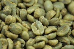 Coffee beans recommend La Minita (Raminita) boutique farm coffee beans