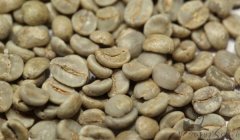 Coffee beans in the macro picture of boutique coffee science
