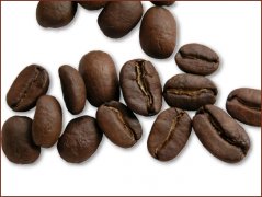 High-quality coffee beans common sense Blue Mountain Coffee beans Picture appreciation
