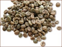 Boutique Coffee study picture appreciation of medium-grain coffee beans in Laos
