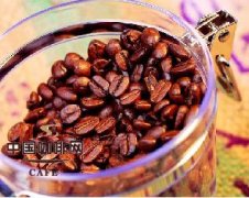 What coffee beans are the best?