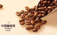 Basic knowledge of fine coffee the main chemical constituents of raw coffee beans