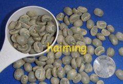 Roasting of boutique coffee beans Anti melon Huashen coffee