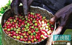 Why do so few people drink coffee in Africa?