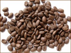 Picture of roasted coffee beans and lightly roasted coffee beans (Light Roast)