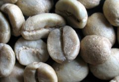 American boutique coffee beans recommend Nicaraguan coffee