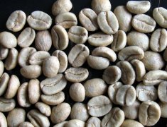 CoE Competition wins Coffee beans Nicaragua