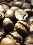 Classification standard of high-quality coffee beans Yunnan coffee bean special secondary standard