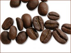 Introduction to the types of boutique coffee pictures of blue mountain coffee beans