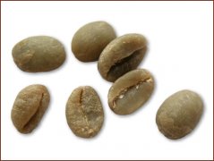 Pictures of fine coffee beans, mocha coffee beans