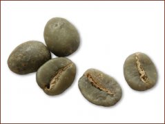 High-quality coffee beans Katim coffee beans pictures