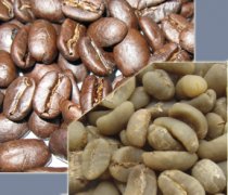 Coffee bean producing areas-Asia-India