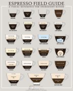 Coffee knowledge types of common coffee drinks