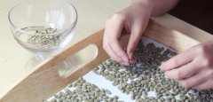 1 Introduction to Fine Coffee Beans Top 10 Fine Coffee Beans