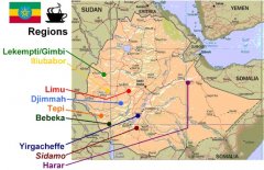 Introduction to Ethiopian Coffee, the hometown of Arabica Coffee