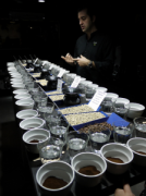 Coffee training Coffee Cup testing basic process knowledge
