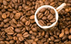 Coffee basic knowledge what is mocha coffee