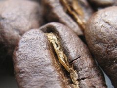 Roasting technology of boutique coffee beans benefits of wood roasting coffee