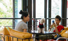 The most popular dog cafe in Korea