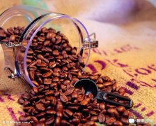 Basic knowledge of boutique coffee how to choose and buy good coffee beans