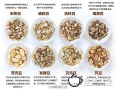 Coffee beans knowledge defective beans have a great influence on the taste of coffee.