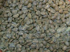 Coffee beans are green, also known as 