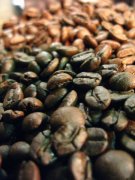 Basic concepts of coffee what are the categories of coffee?