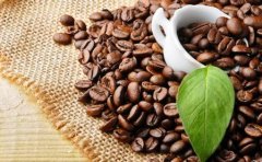 Types and characteristics of common coffee beans in boutique coffee science