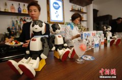 Tokyo Cafe surprised to find that robot service customers can interact with robots.