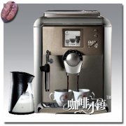 Italian gaggia platinum visionp automatic coffee machine