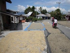 Development of Coffee Industry in Pu'er City, Yunnan Province