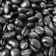 Coffee beans are born with flavor or are they baked?