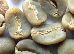 The treatment of raw coffee beans common sense of fine coffee beans