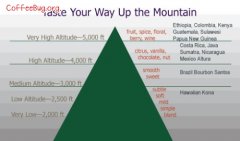 The relationship between altitude and Coffee Flavor