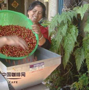 咖啡豆的研磨或去壳