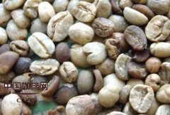 Basic knowledge of boutique coffee defective beans