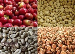 Techniques for processing Coffee fruits