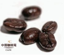 How to determine the freshness of coffee beans