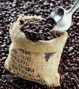 General knowledge of high-quality coffee beans 10 essential elements of fine coffee beans
