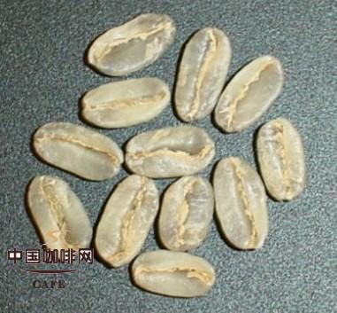 瑰夏咖啡豆