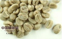 Coffee beans introduce 