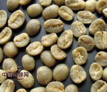 Boutique Coffee learn the basics of coffee how to grade coffee beans?