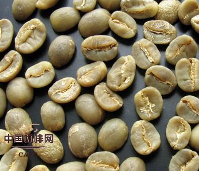 咖啡豆如何分级？ 