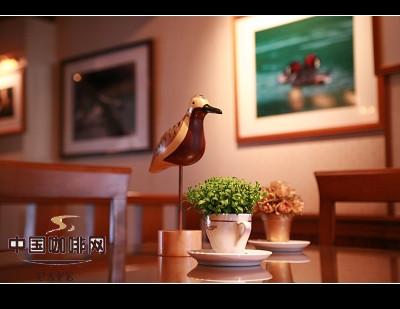 《推开咖啡馆之门的100个理由》