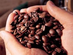 What is caffeine? the role of caffeine