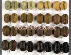 High-quality coffee beans common sense why coffee beans produce oil?