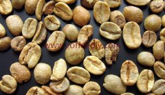 The main varieties of coffee beans at present the most important varieties of coffee beans.