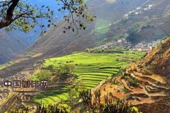 Jugula, the secret territory of Yunnan, the birthplace of Chinese coffee
