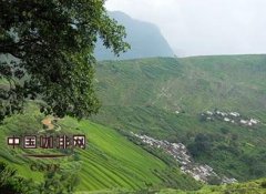 Chinese Coffee Culture the Legend of Coffee in Zhukula Village, Yunnan Province