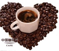 Common sense of World Coffee Culture Coffee Culture of the French